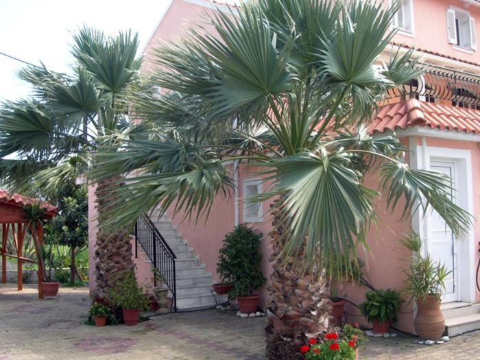 Katerina Studios Svoronata Exterior photo